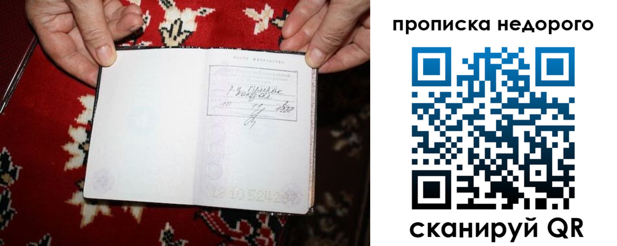 прописка гарантия в Донском